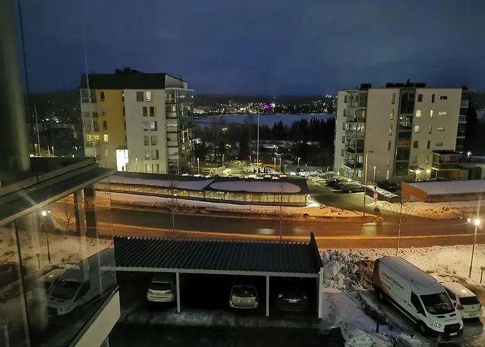 Huoneisto Jaervinaekymin, Palokka